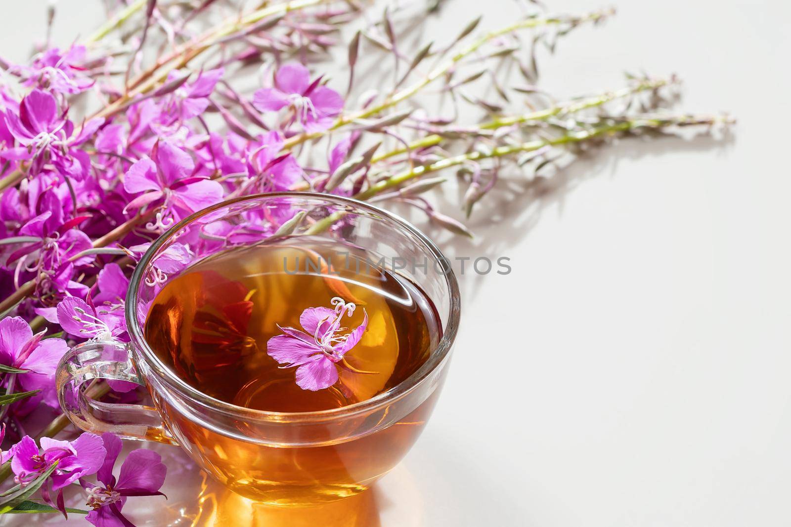 Fireweed herb known as blooming sally and tea in a cup by galsand