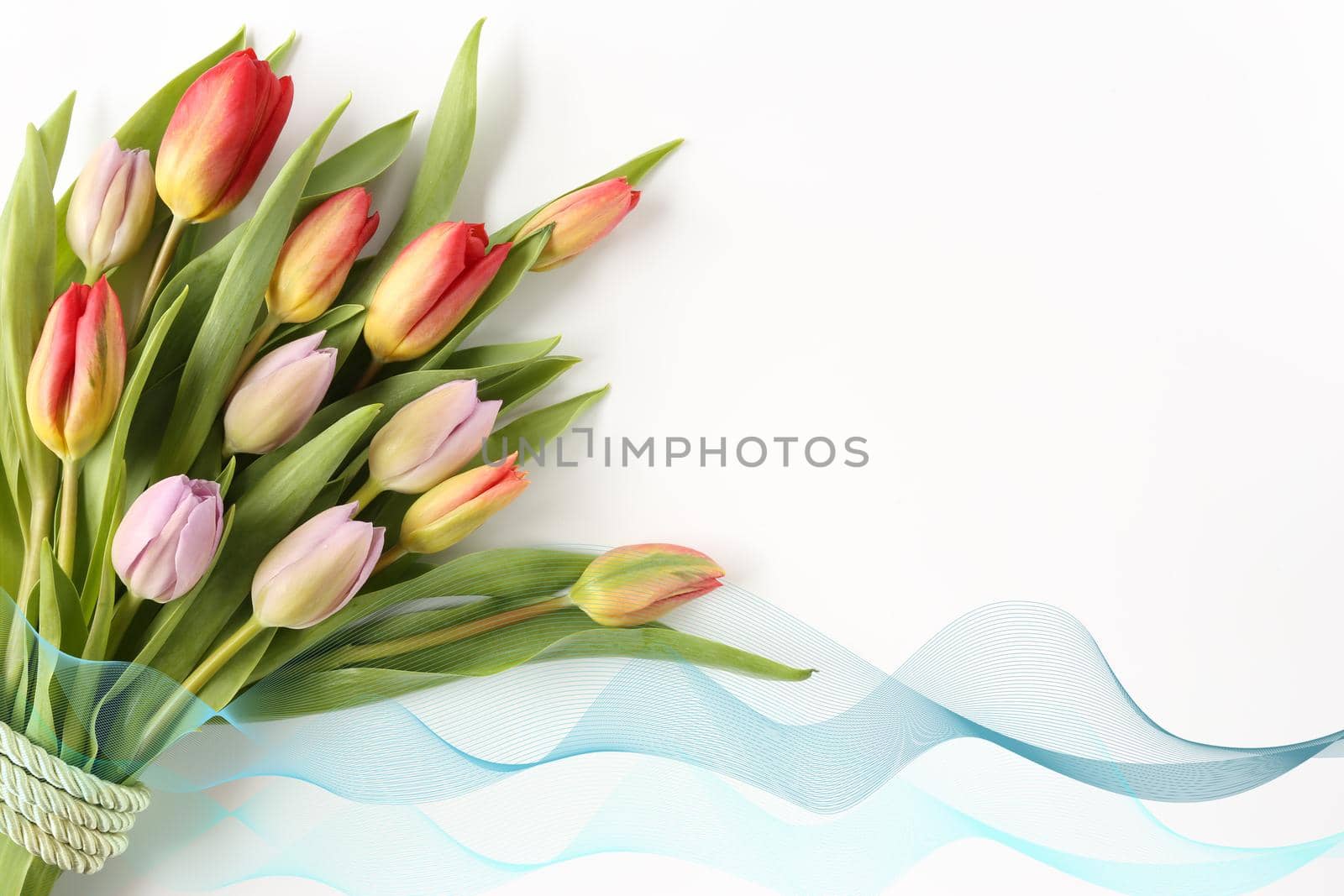 Bouquet of spring tulips by NelliPolk