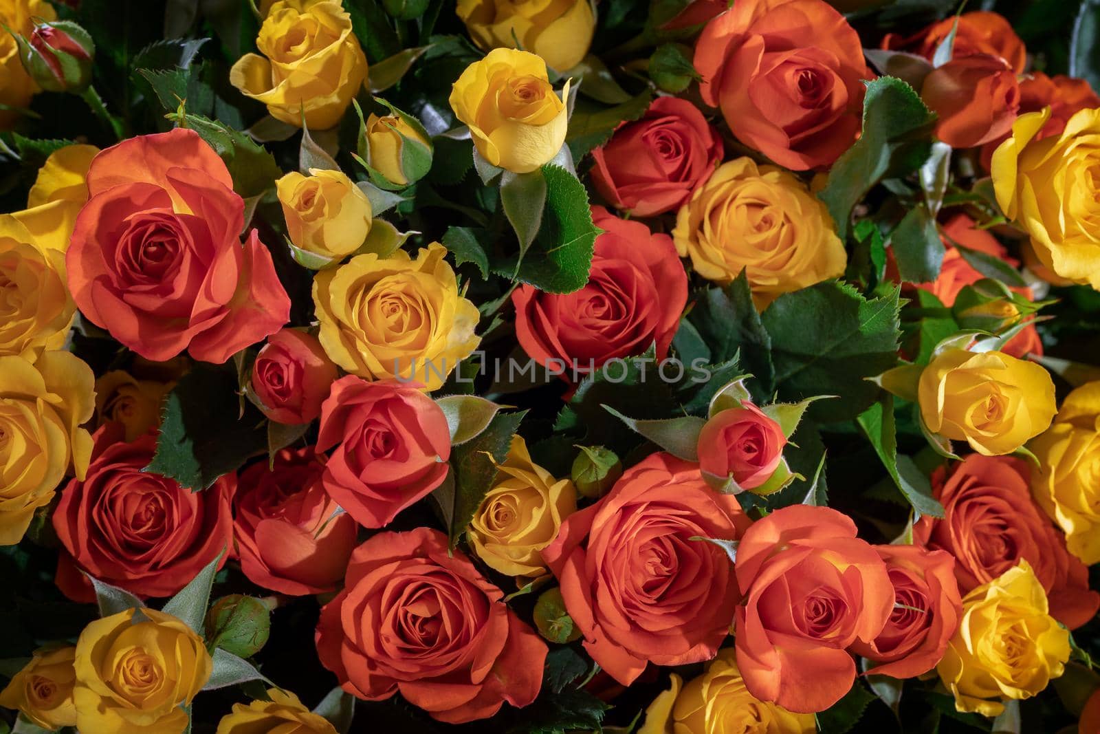 Bouquet of yellow and red rose flowers, top view by Lincikas