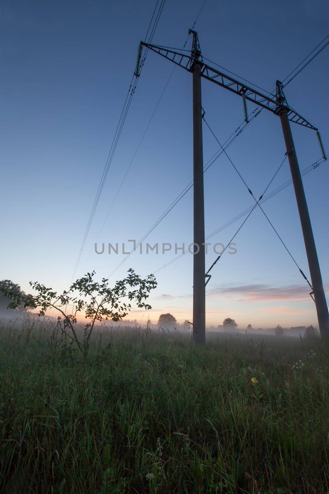 Landscape with Electricity poles fog and sunset