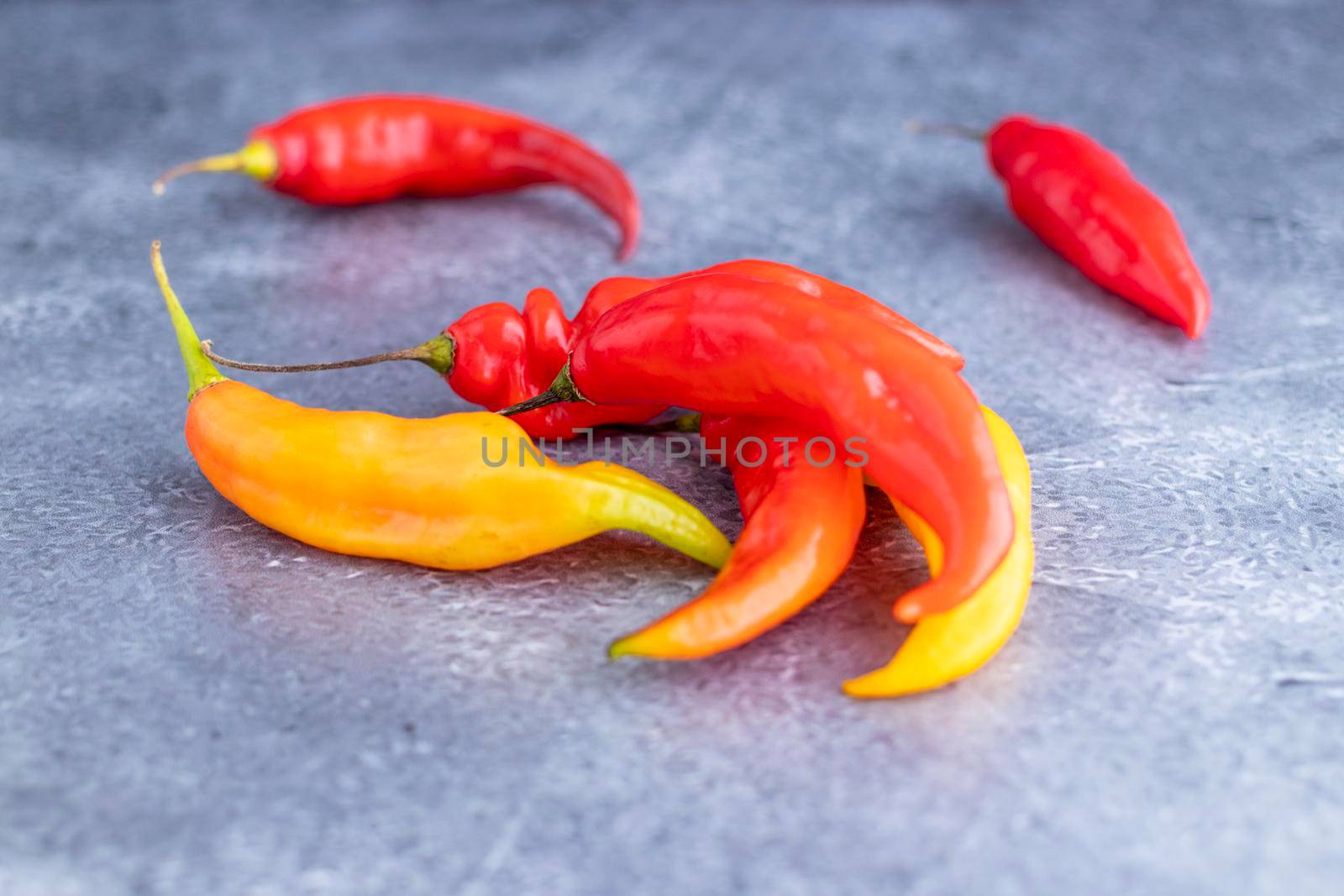 Presentation of Peruvian hot red chili (Aji Limo)