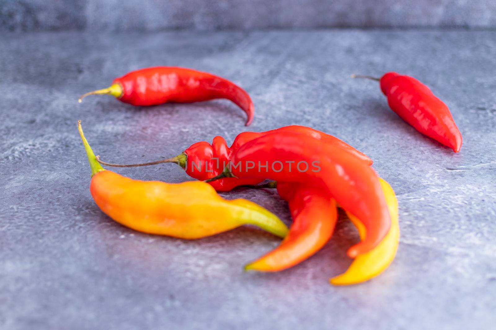 Presentation of Peruvian hot red chili (Aji Limo)