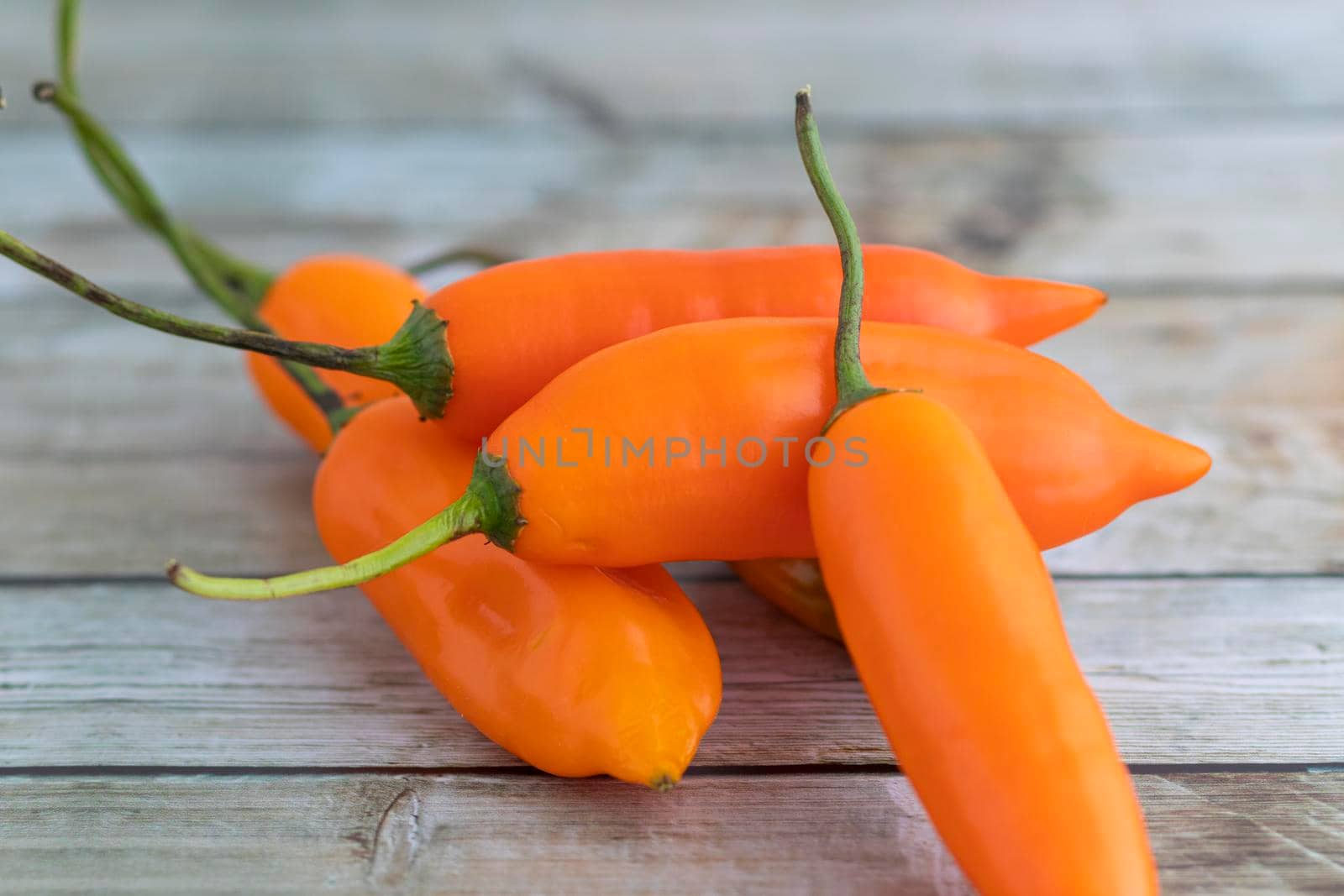 Yellow peppers, the main ingredient in Peruvian cuisine by eagg13