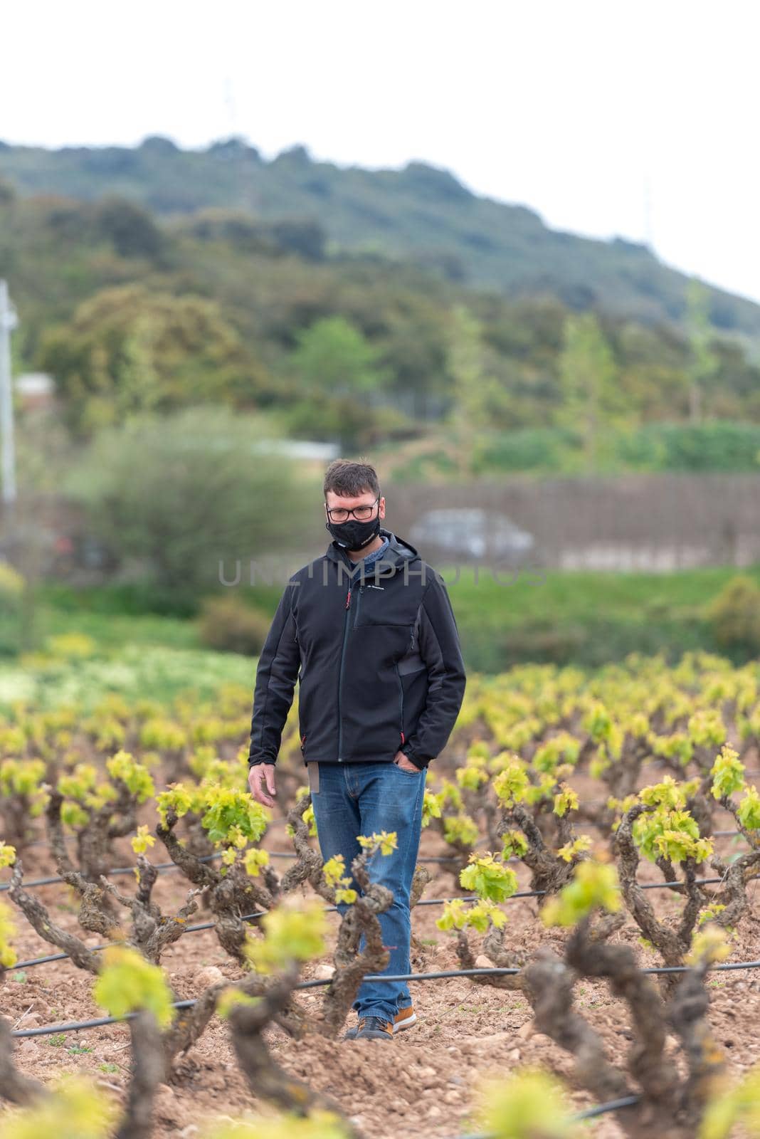 Vineyards in the La Rioja region of Spain in 2021 by martinscphoto