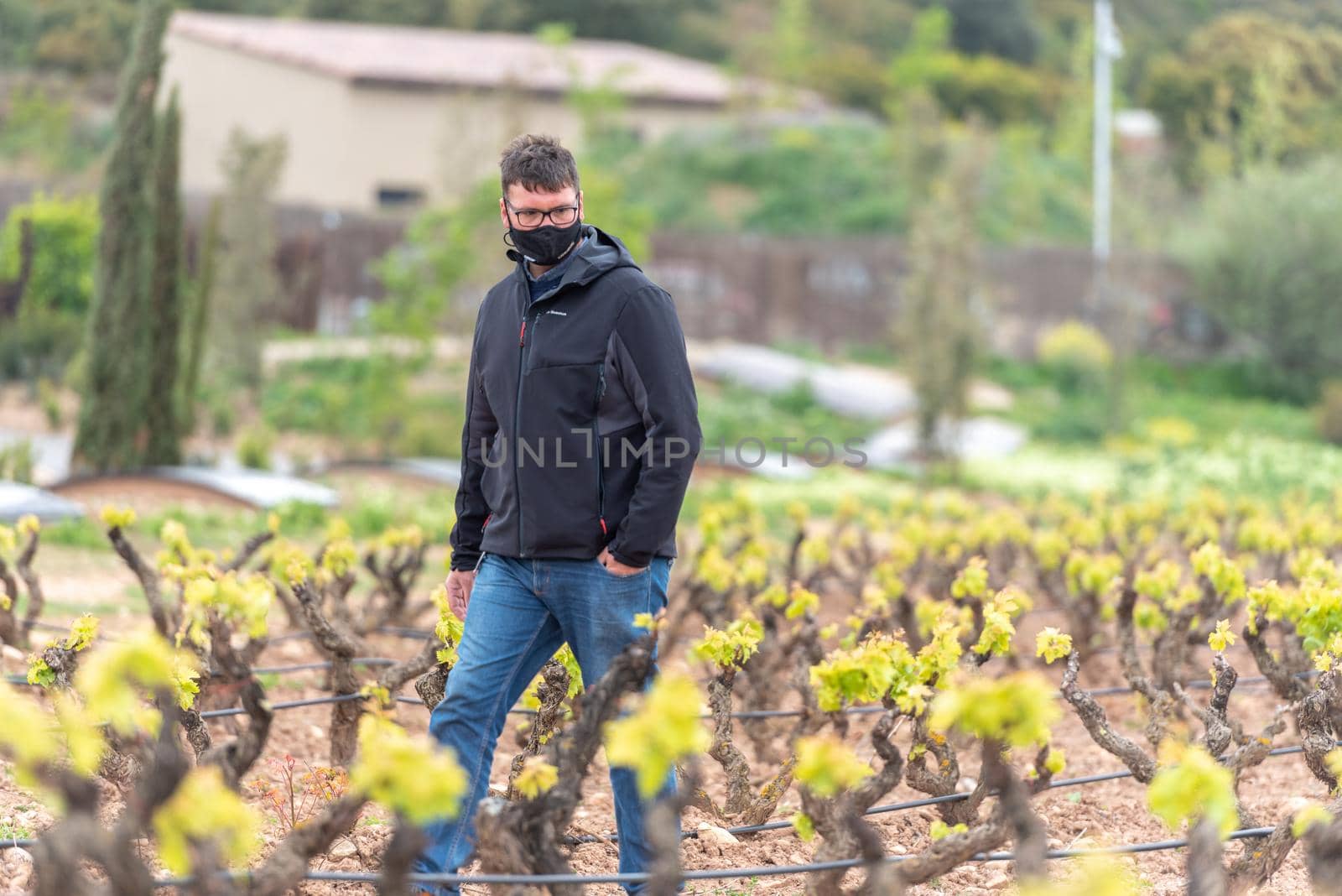 Vineyards in the La Rioja region of Spain in 2021 by martinscphoto