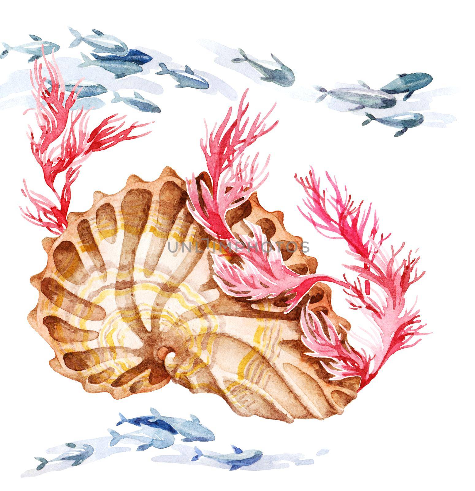Watercolor illustration of shell with marine seaweed and floating fishes