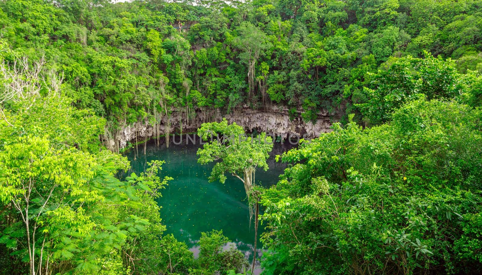 A small lake in a public park surrounded by tall green trees. Top view of the Dominican Republic.