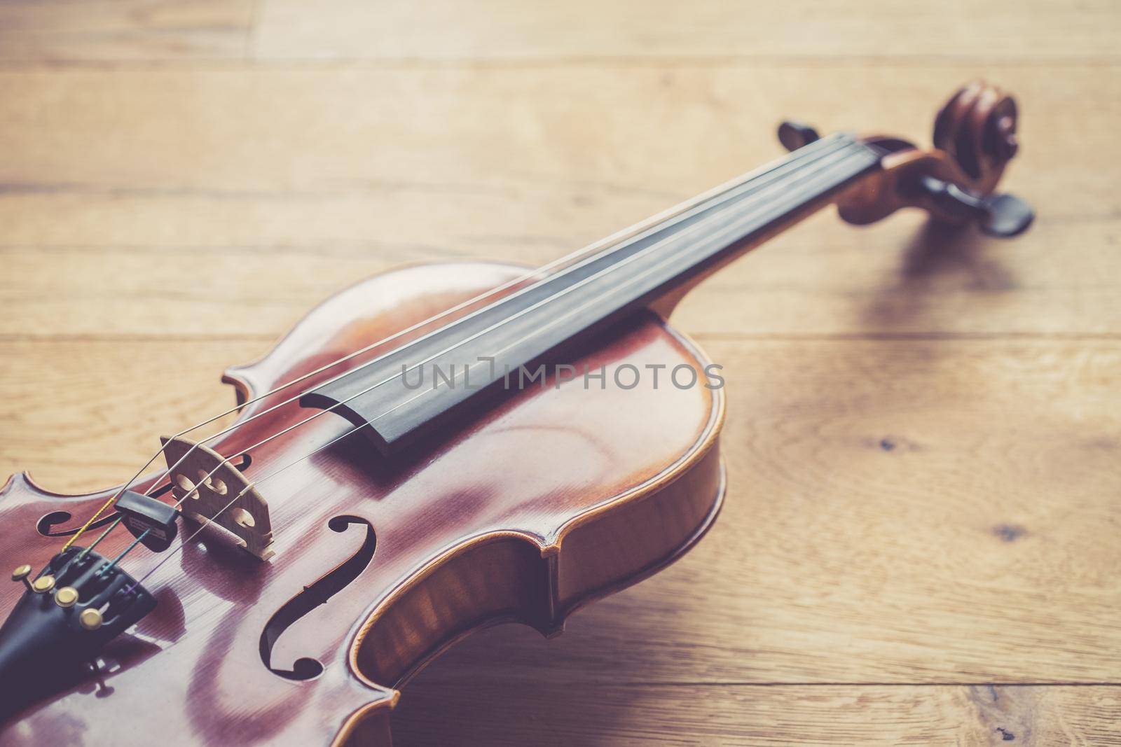 Close up of professional violin music instrument