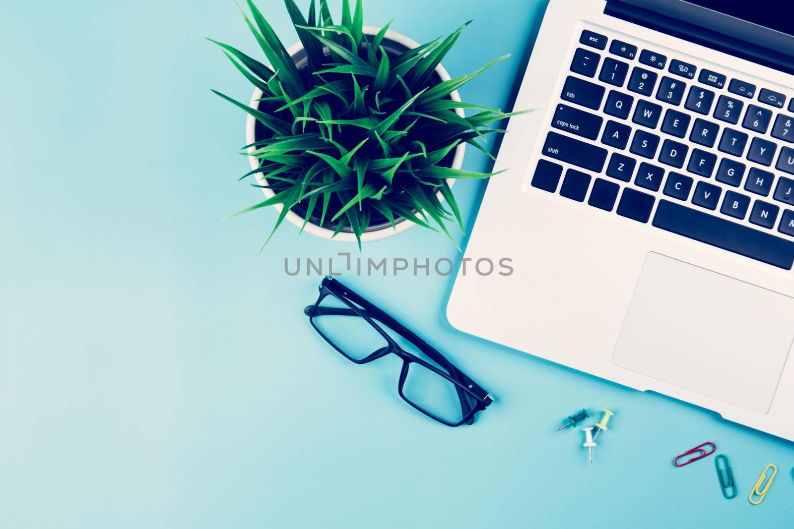 Flat lay of Laptop computer and plant on desk in office, workplace and notebook and glasses and potted tree and pin, workspace and copy space, top view, object with above, nobody, business concept. by nnudoo