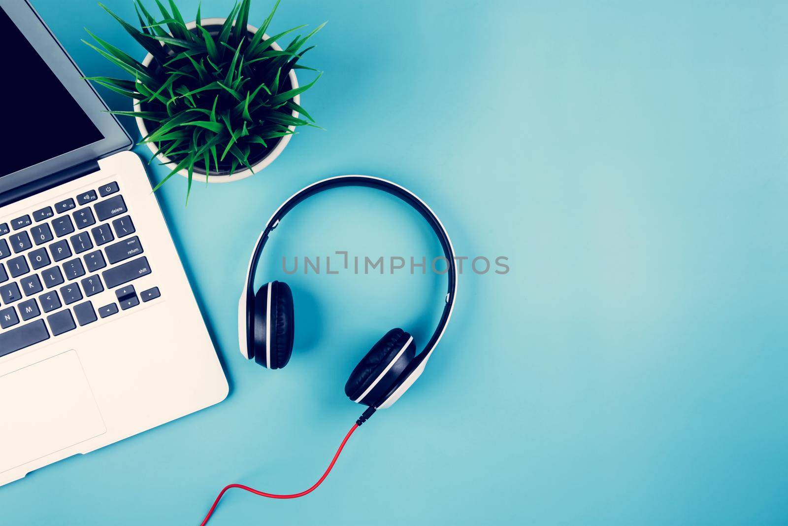 Flat lay of Laptop computer and plant on desk in office, workplace and notebook and potted tree and headphone, workspace and copy space, top view, object with above, nobody, business concept. by nnudoo