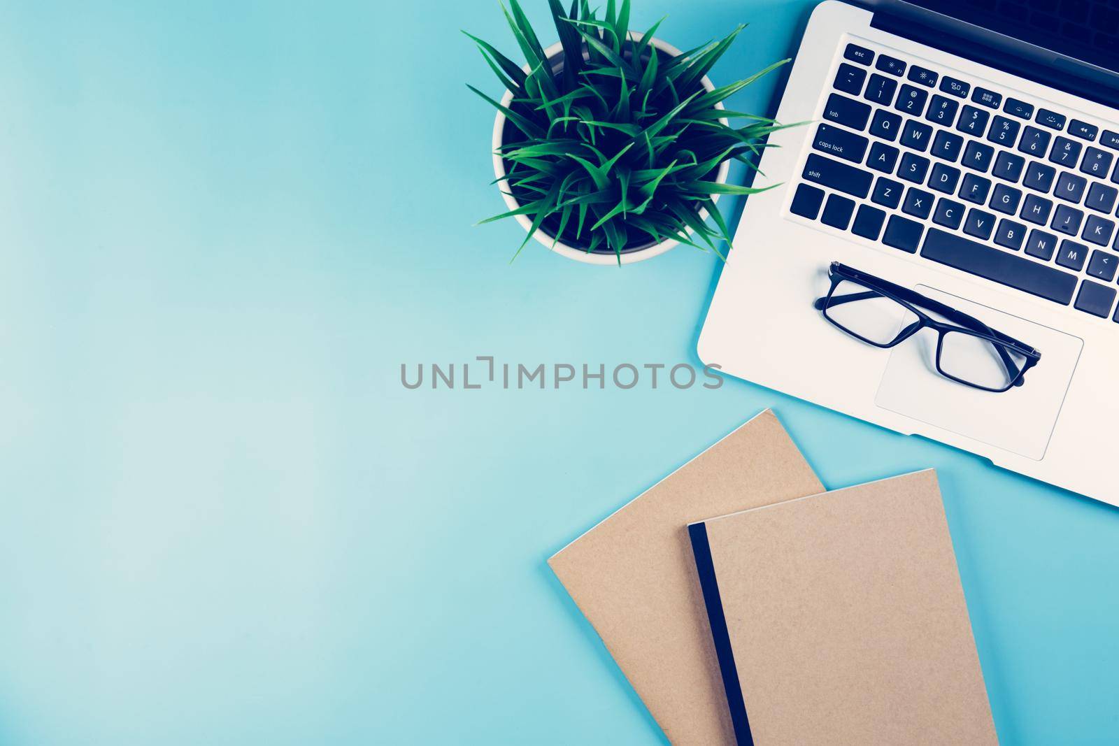 Flat lay of Laptop computer and plant on desk in office, workplace and notebook and glasses and potted tree and book, workspace and copy space, top view, object with above, nobody, business concept.