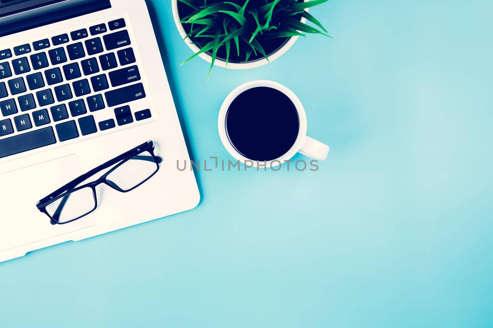 Flat lay, Laptop computer and plant and cup of coffee and glasses on desk in office, workplace and notebook and potted tree, workspace and copy space, top view, object with above, business concept. by nnudoo