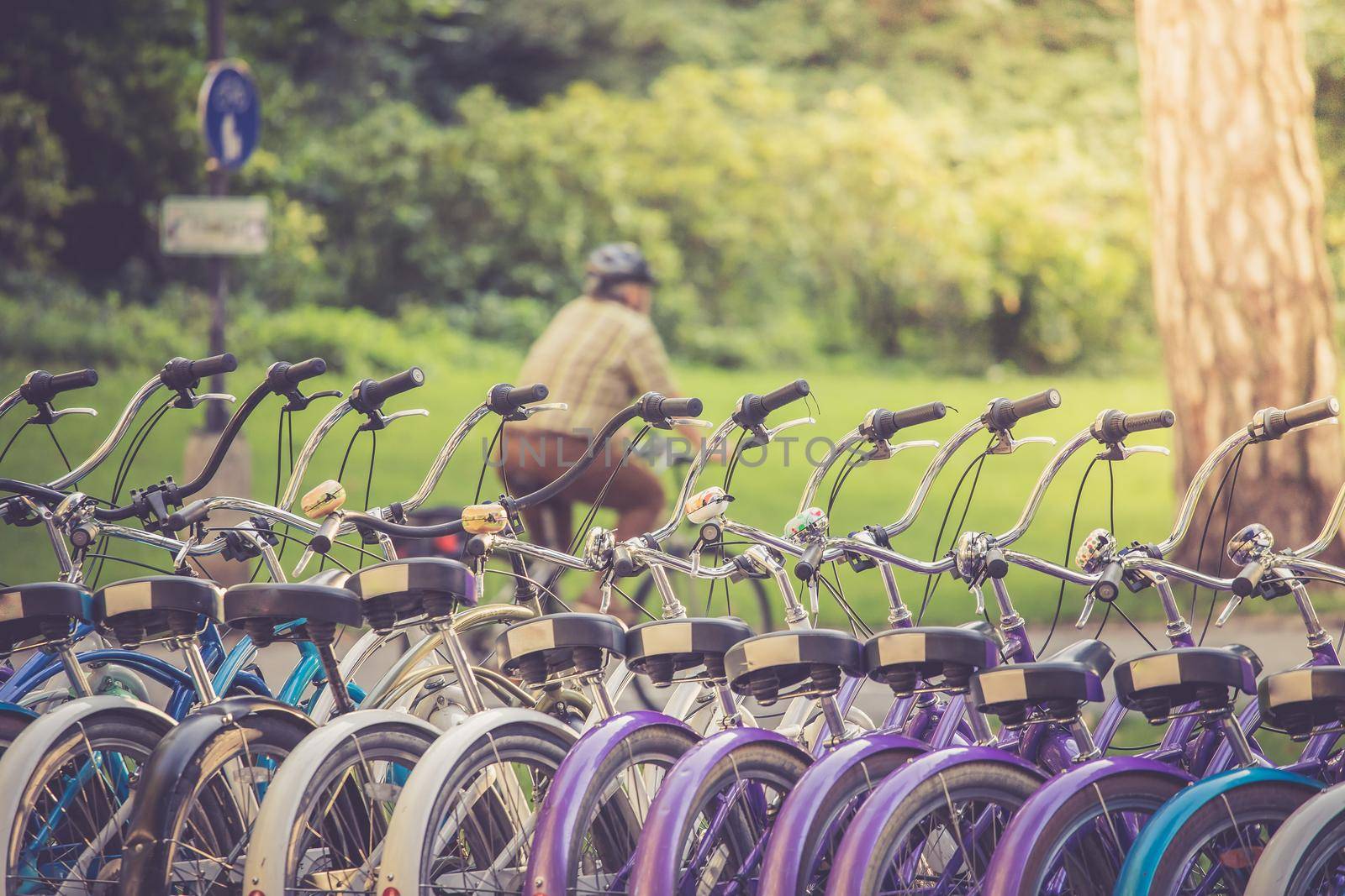 Row of bikes in rental agency, city mobility