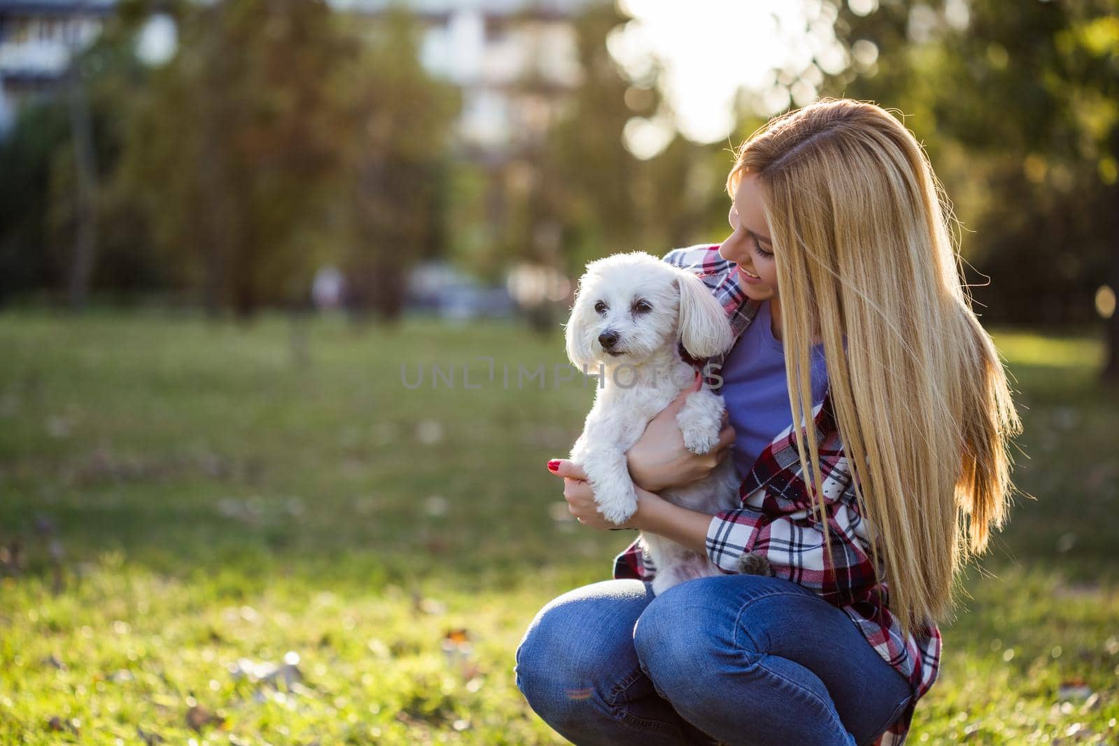 Woman  with her Maltese dog outdoor by Bazdar