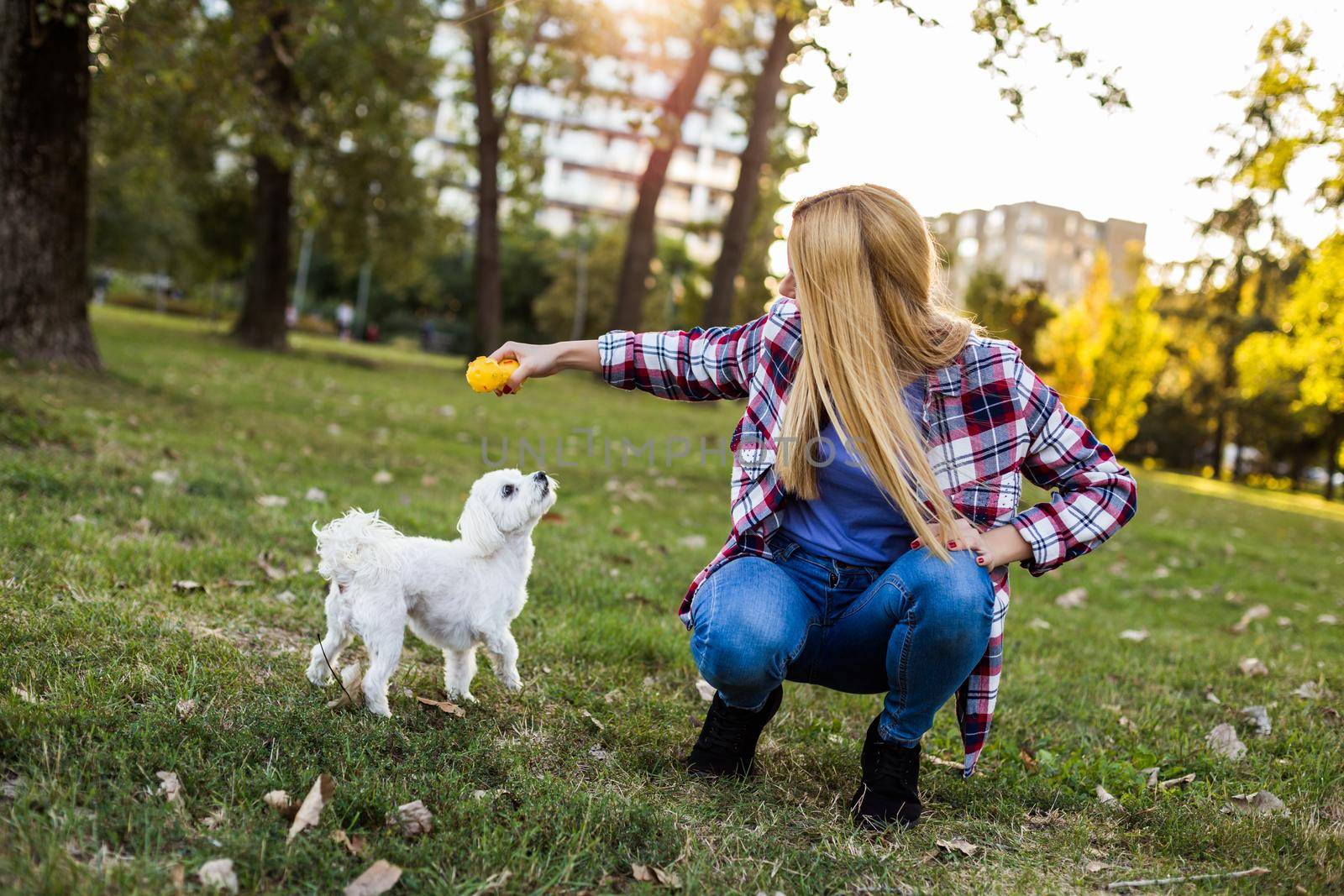 Woman is playing with her Maltese dog outdoor by Bazdar