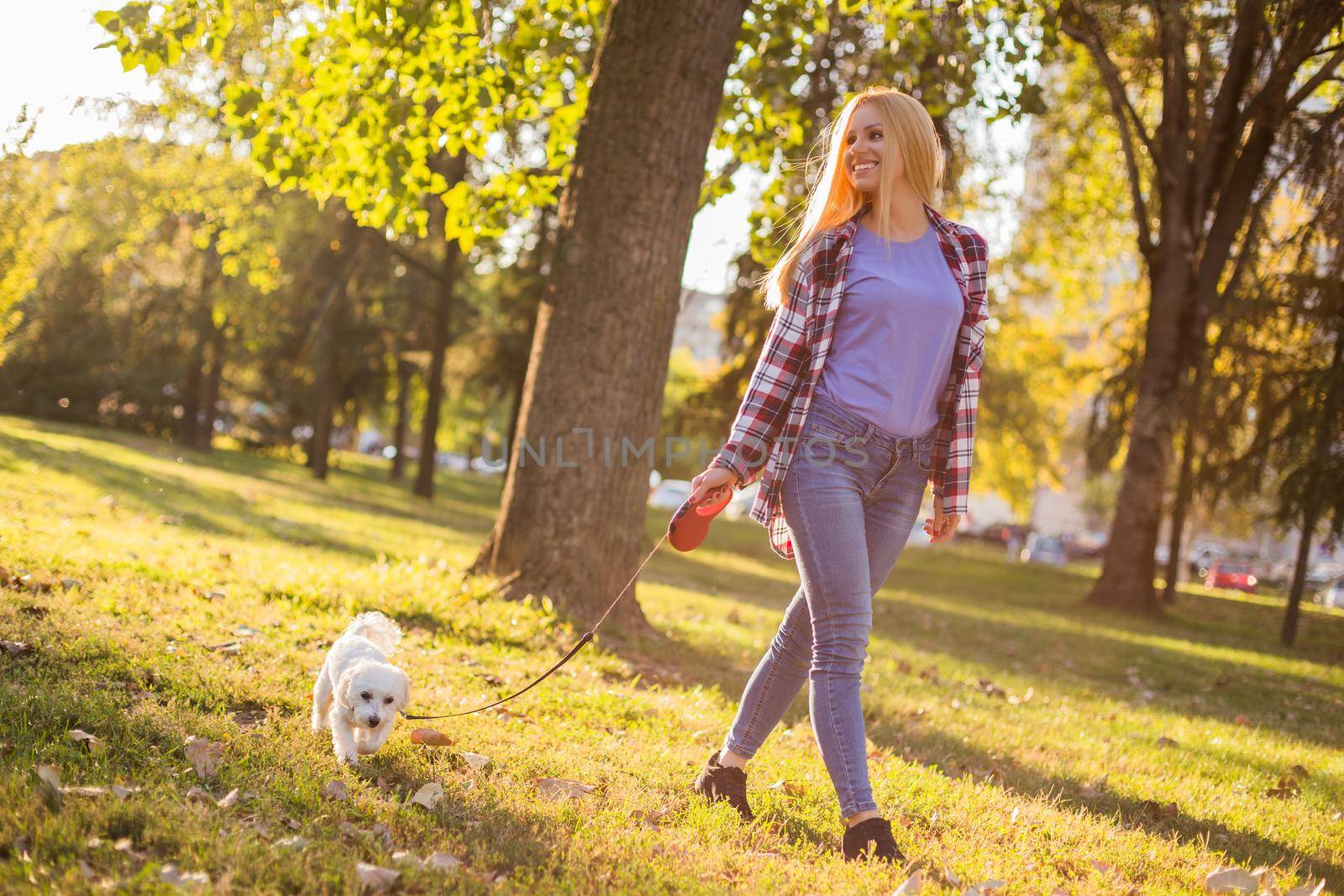 Woman walking with her Maltese dog outdoor by Bazdar