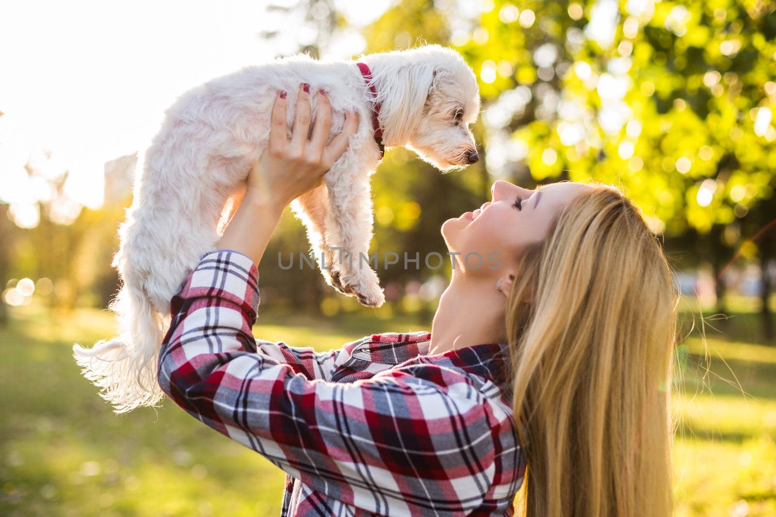 Beautiful woman spending time with her Maltese dog outdoor.