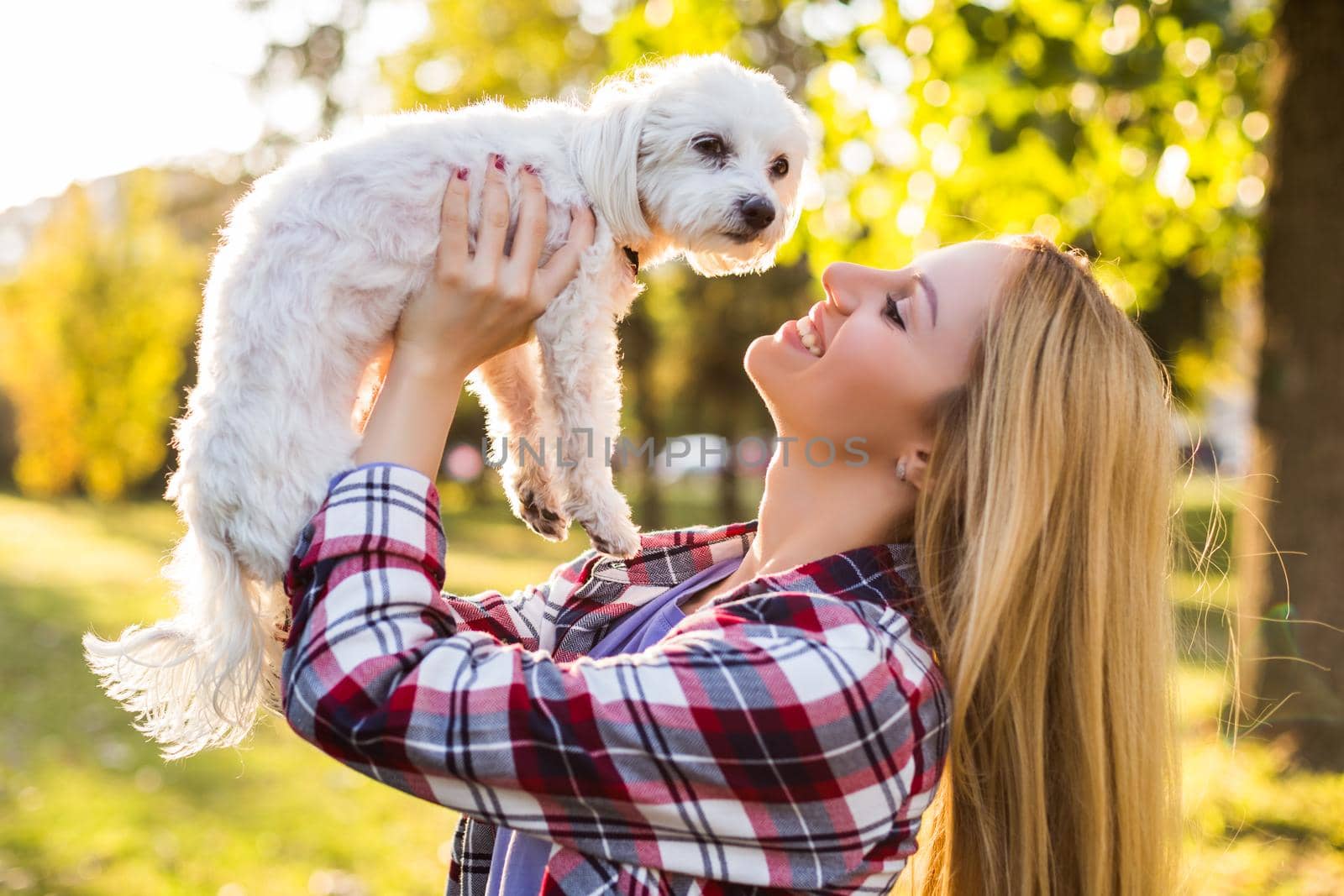 Woman  with her Maltese dog outdoor by Bazdar