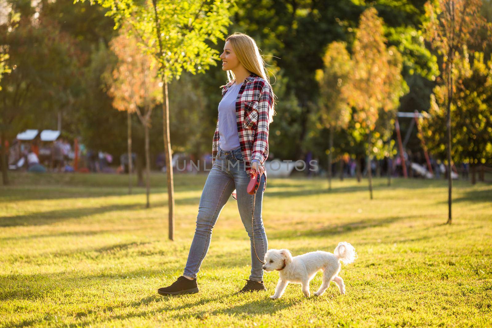 Woman walking with her Maltese dog outdoor by Bazdar