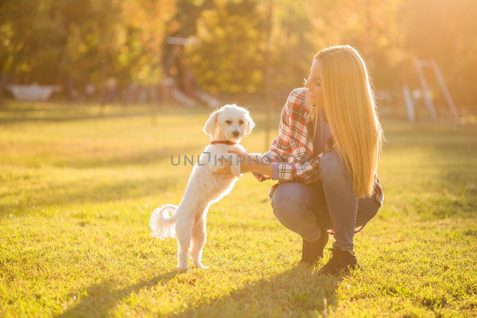 Woman  with her Maltese dog outdoor by Bazdar