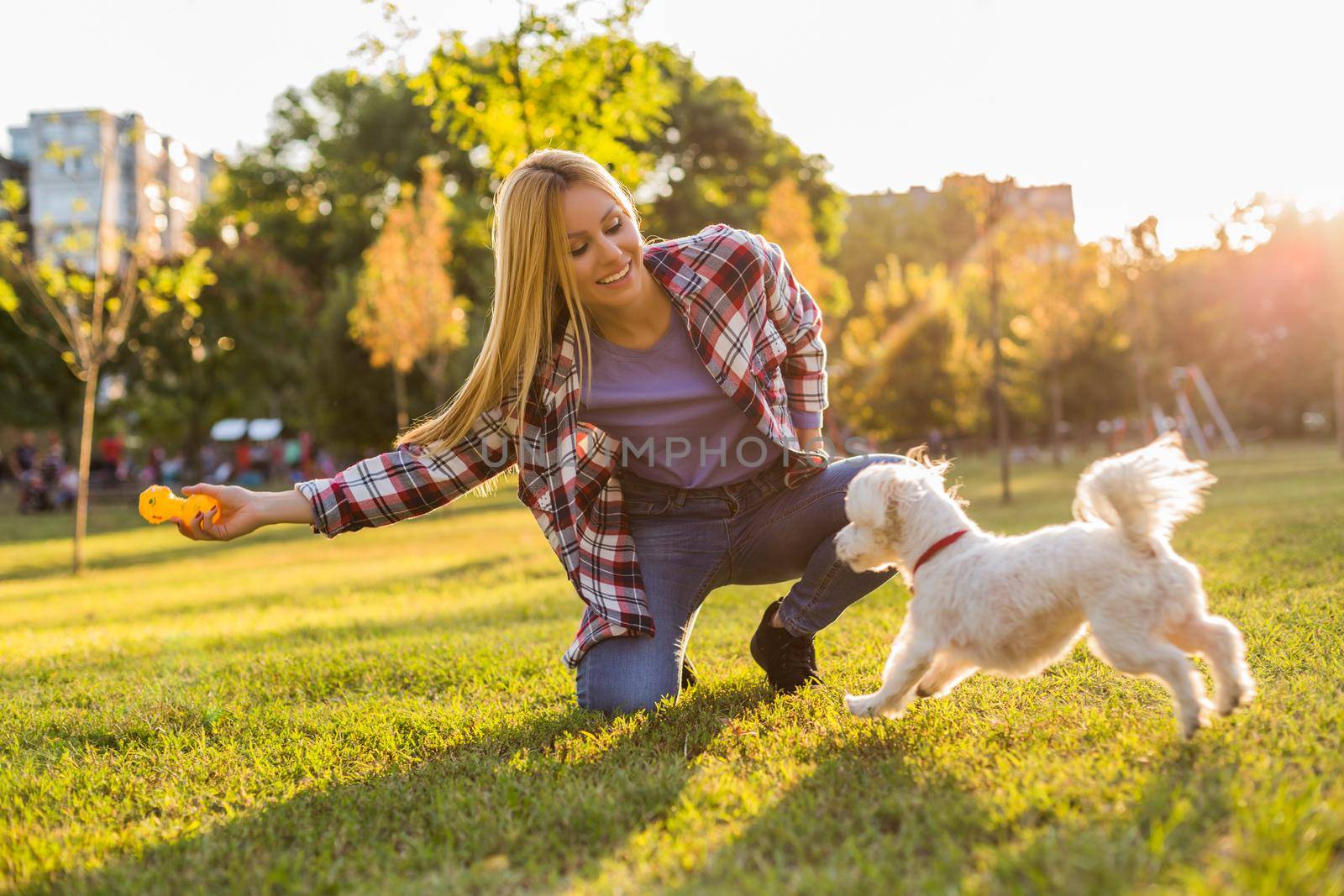 Woman is playing with her Maltese dog outdoor by Bazdar