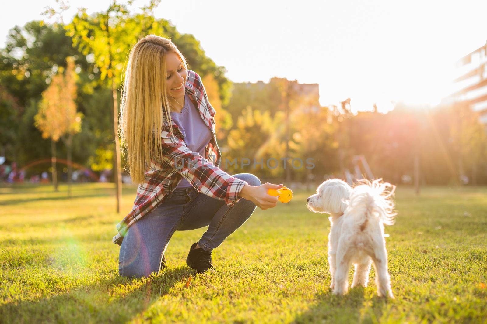 Beautiful woman is playing with her Maltese dog in the park.