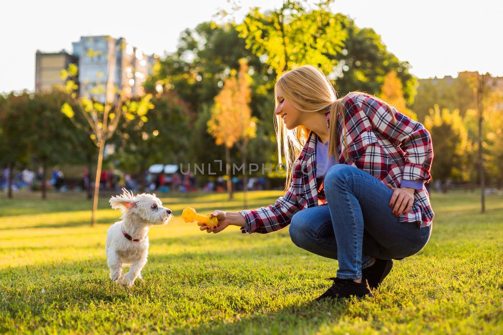 Beautiful woman is playing with her Maltese dog in the park.