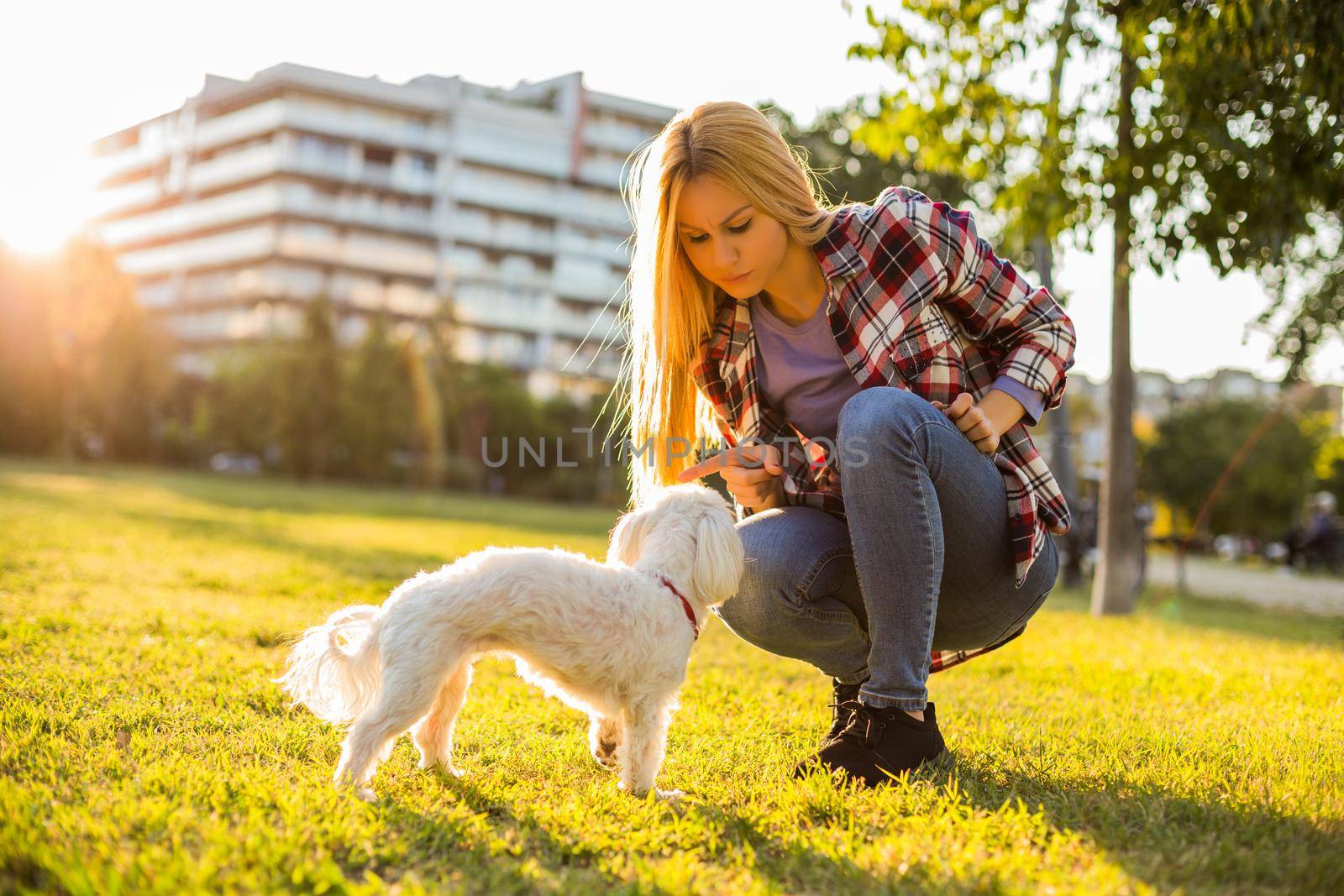 Woman scolding her Maltese dog while they spending time in the park.