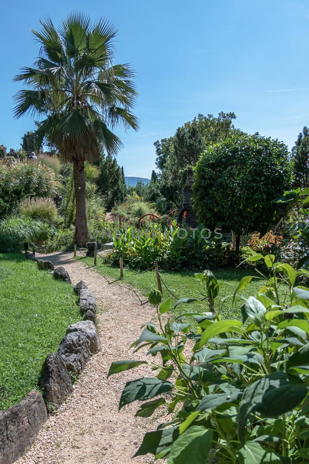 André Heller Botanical Garden. Gardone Riviera (BS), ITALY - August 25, 2020