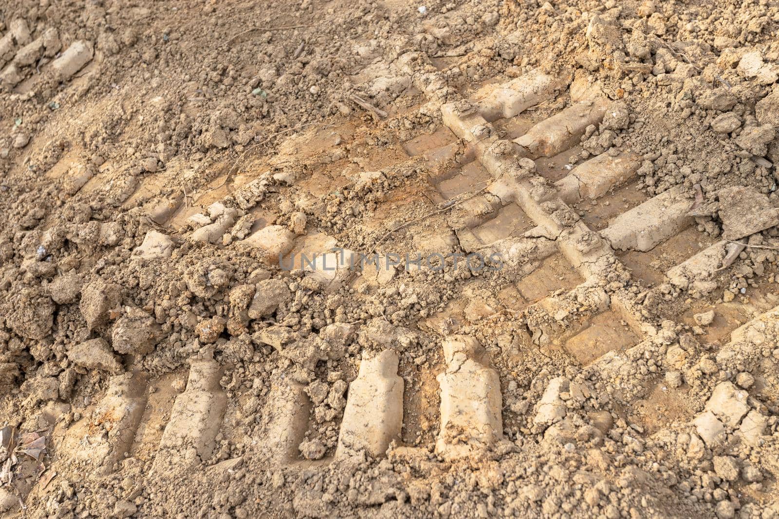 Background of dry mud by germanopoli