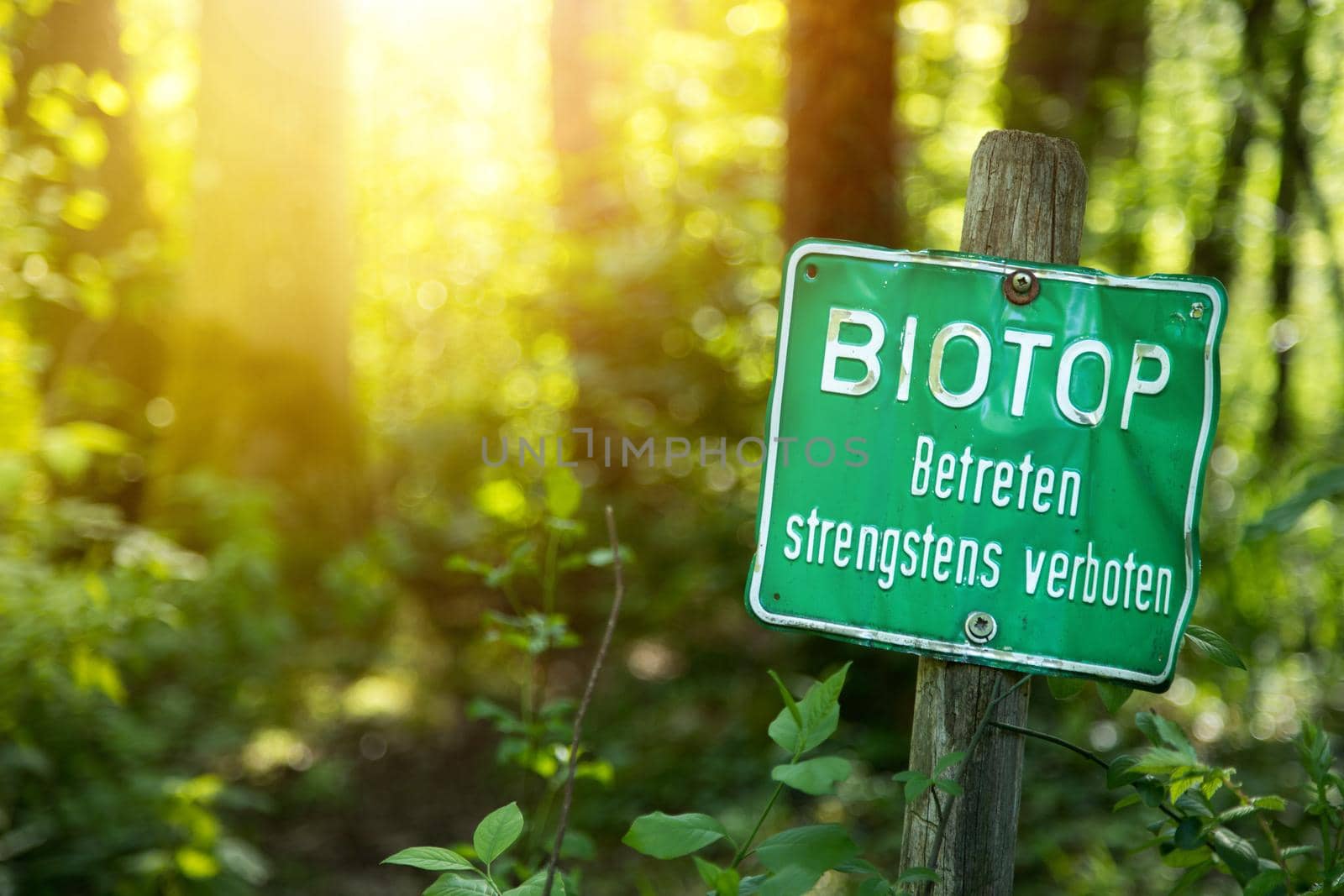 Nature reserve area in Germany. Sign with “Biotop. Betreten strengstens verboten”.