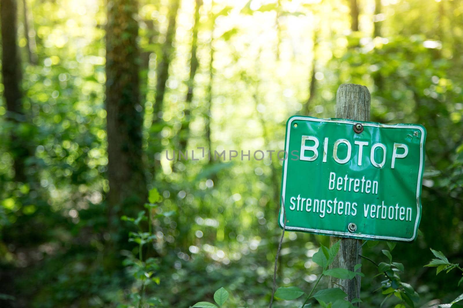 Nature reserve area in Germany. Sign with “Biotop. Betreten strengstens verboten”.