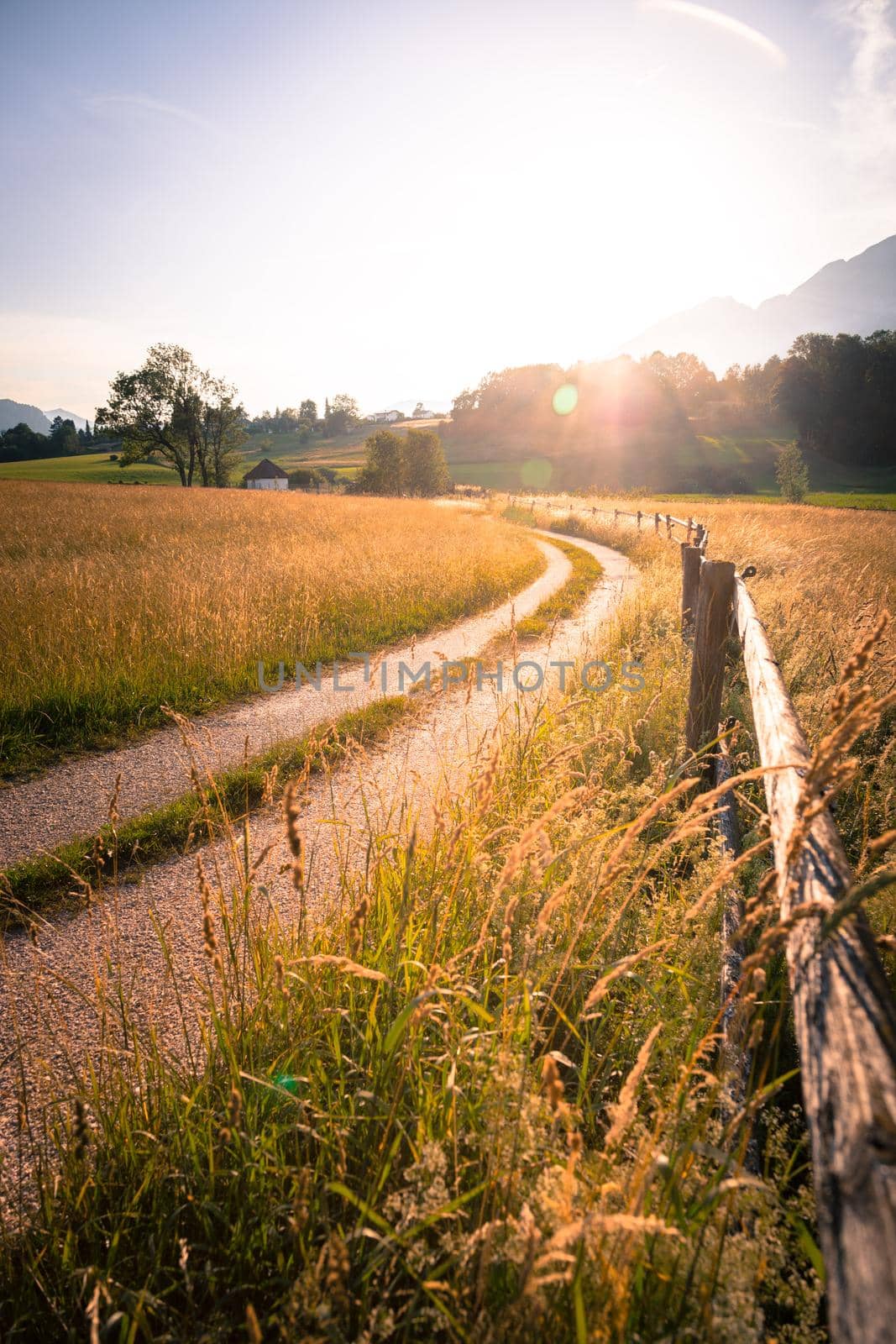 Scenic sundown: Country road, golden meadow, hills and mountains. by Daxenbichler