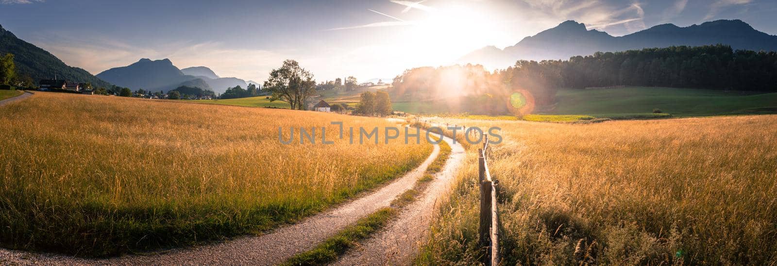 Scenic sundown: Country road, golden meadow, hills and mountains. by Daxenbichler