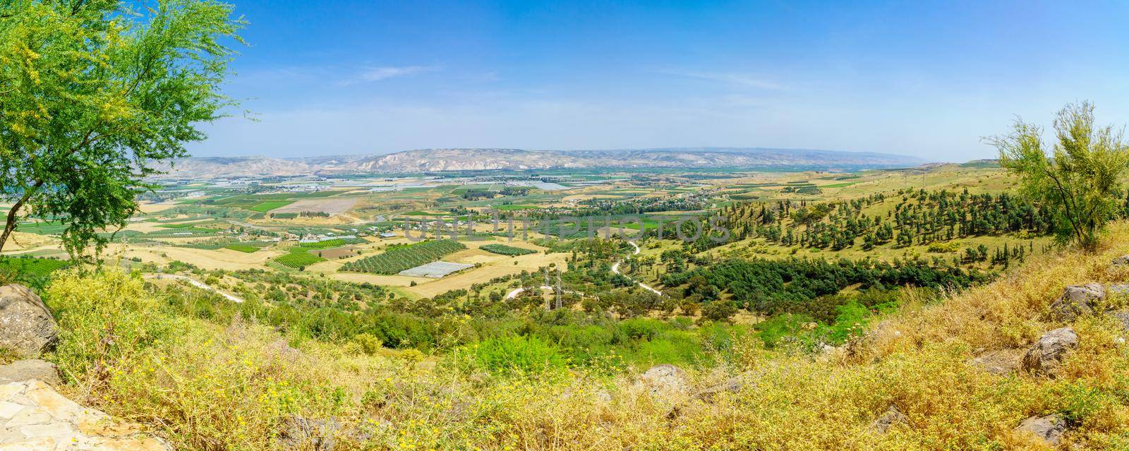 Panoramic view of the landscape of the Lower Jordan River valley. Northern Israel