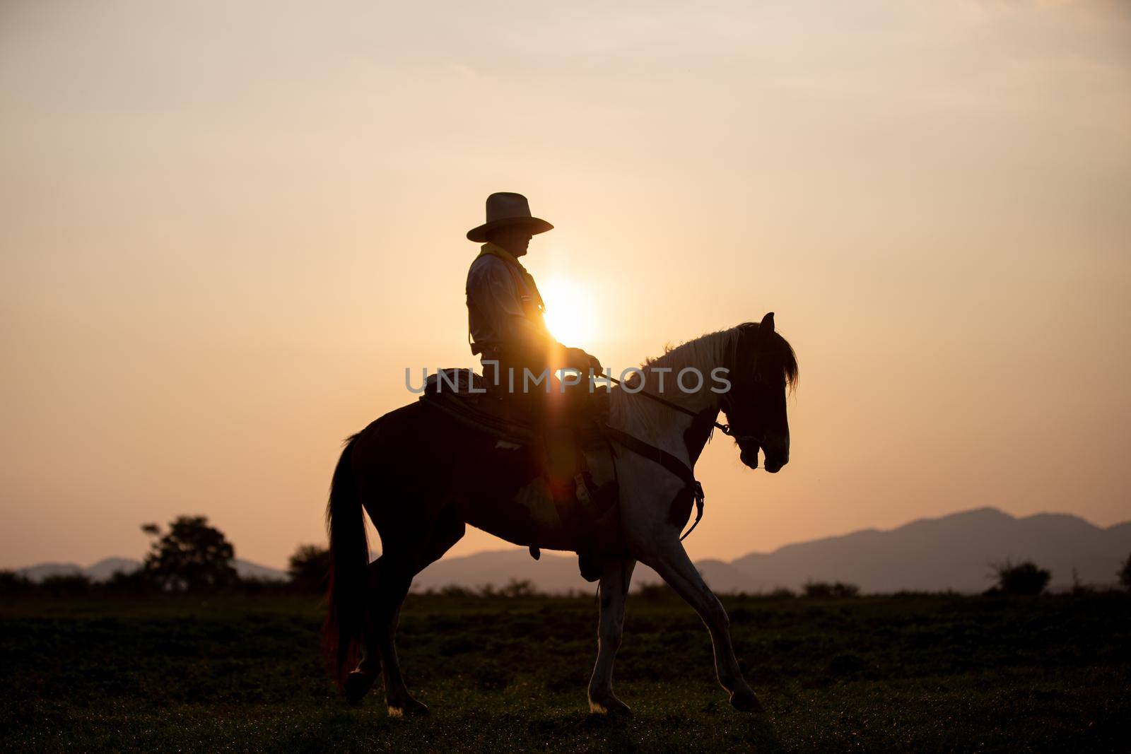 cowboy on horseback against a beautiful sunset, cowboy and horse at first light,mountain, river and lifestyle with natural light background	
