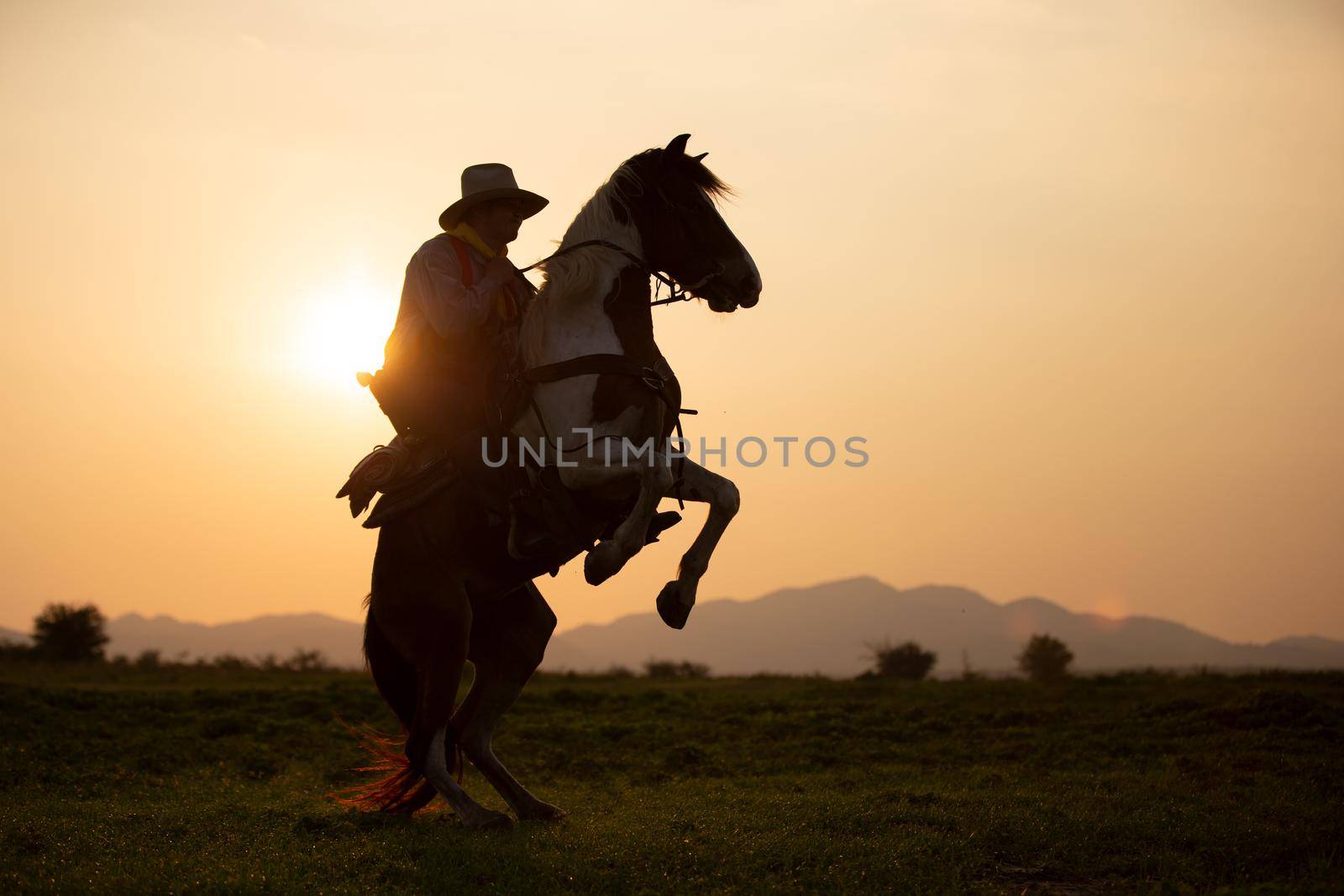 cowboy on horseback against a beautiful sunset, cowboy and horse at first light,mountain, river and lifestyle with natural light background	

