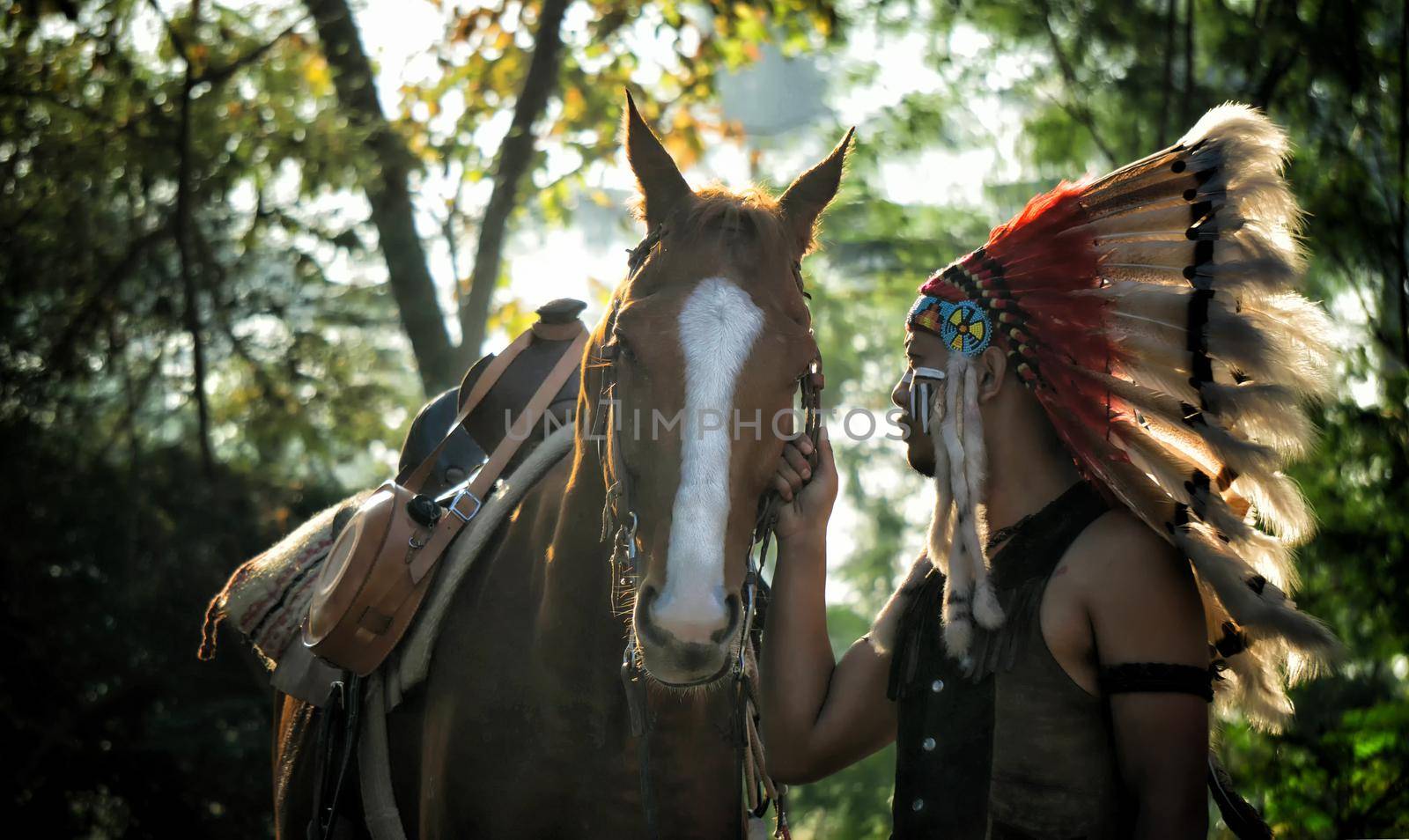 American Indian warrior, chief of the tribe. man with feather headdress and tomahawk, horse