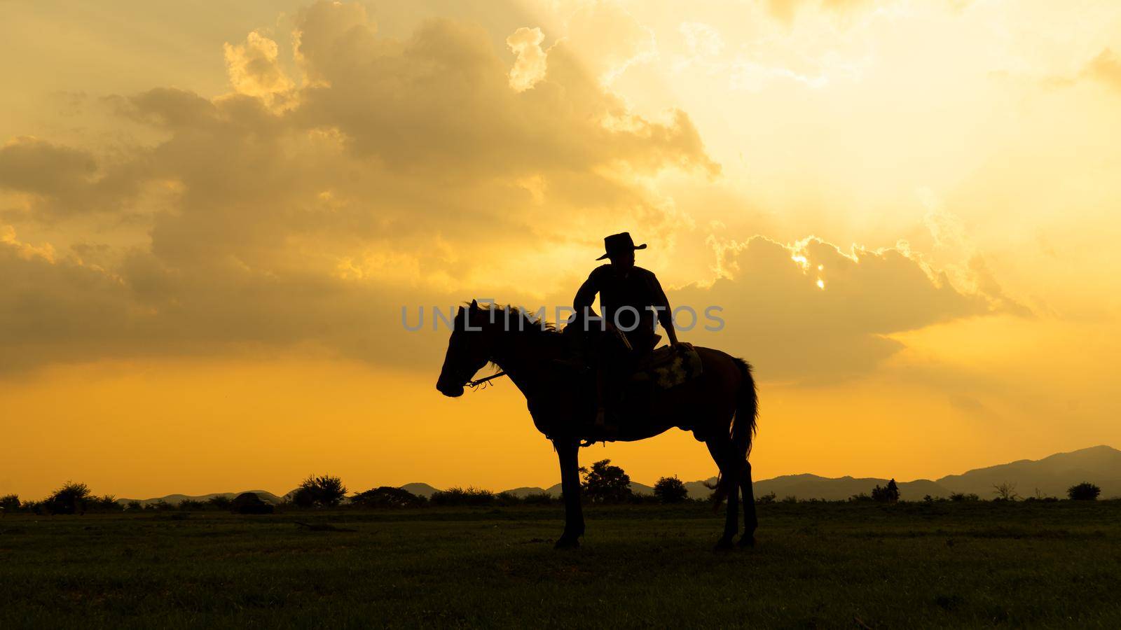 cowboy on horseback against a beautiful sunset, cowboy and horse at first light,mountain, river and lifestyle with natural light background	
