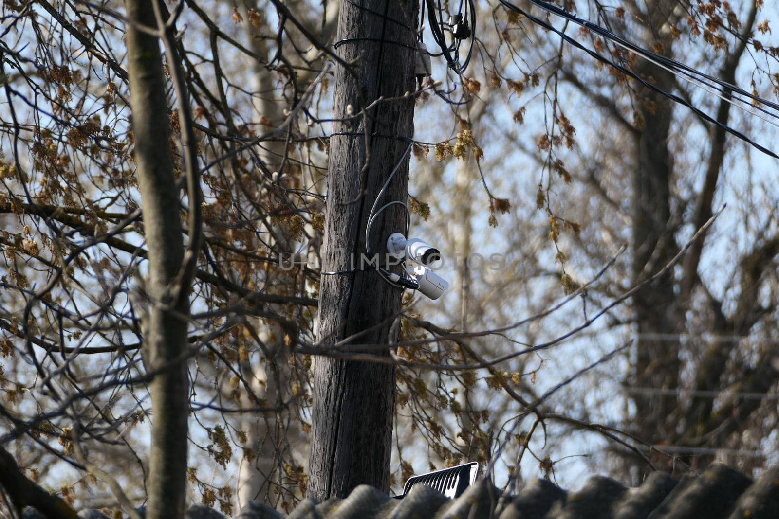 An external CCTV camera mounted on a pole, on a tree in the street. Security and CCTV.