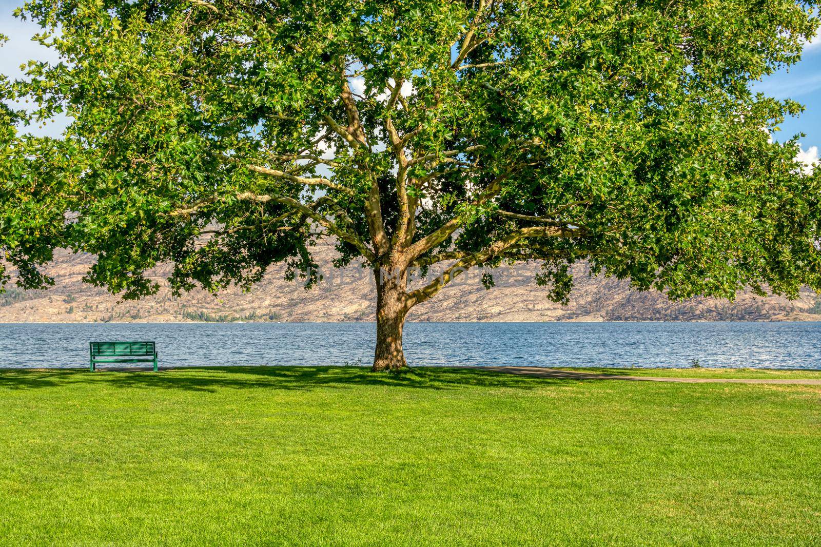 Lonely bench on the shore with lake and mountains overview under the crown of big chestnut tree