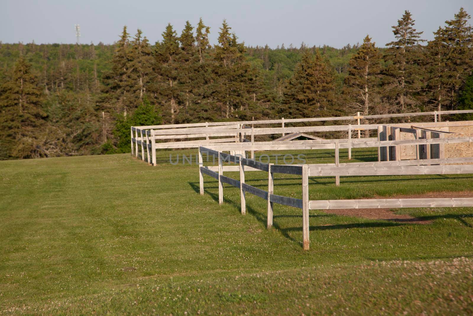 Wooden dog park fence  by rustycanuck