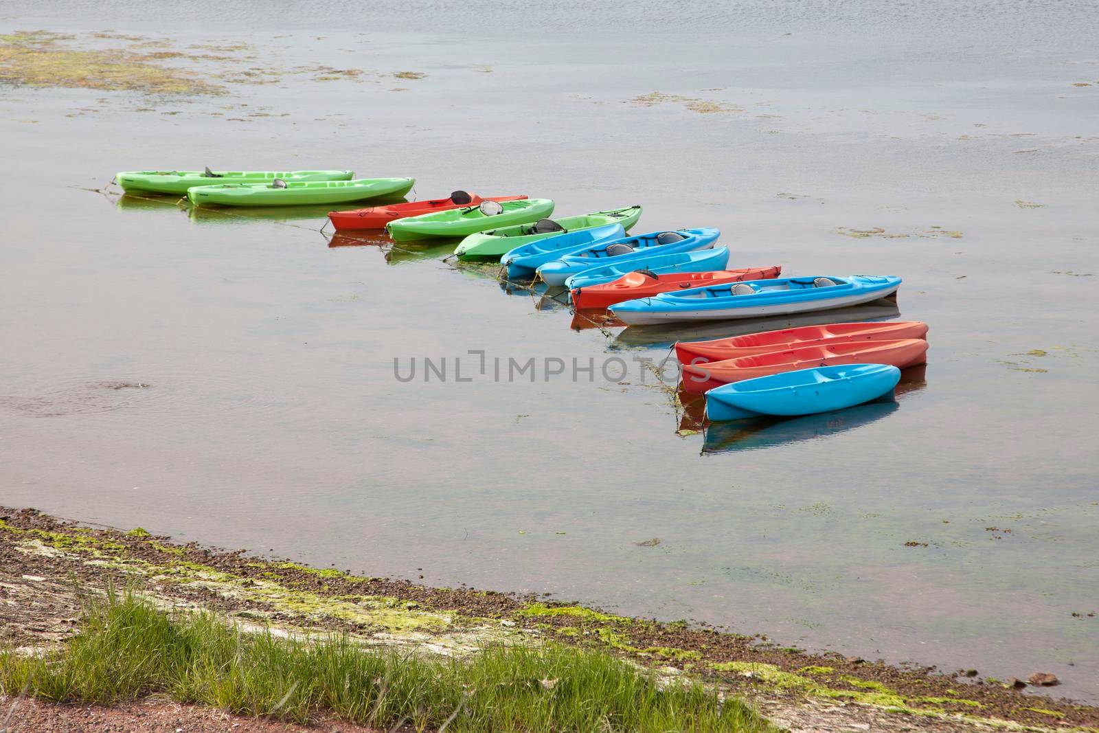 different size and colours of kayaks lined up in the water