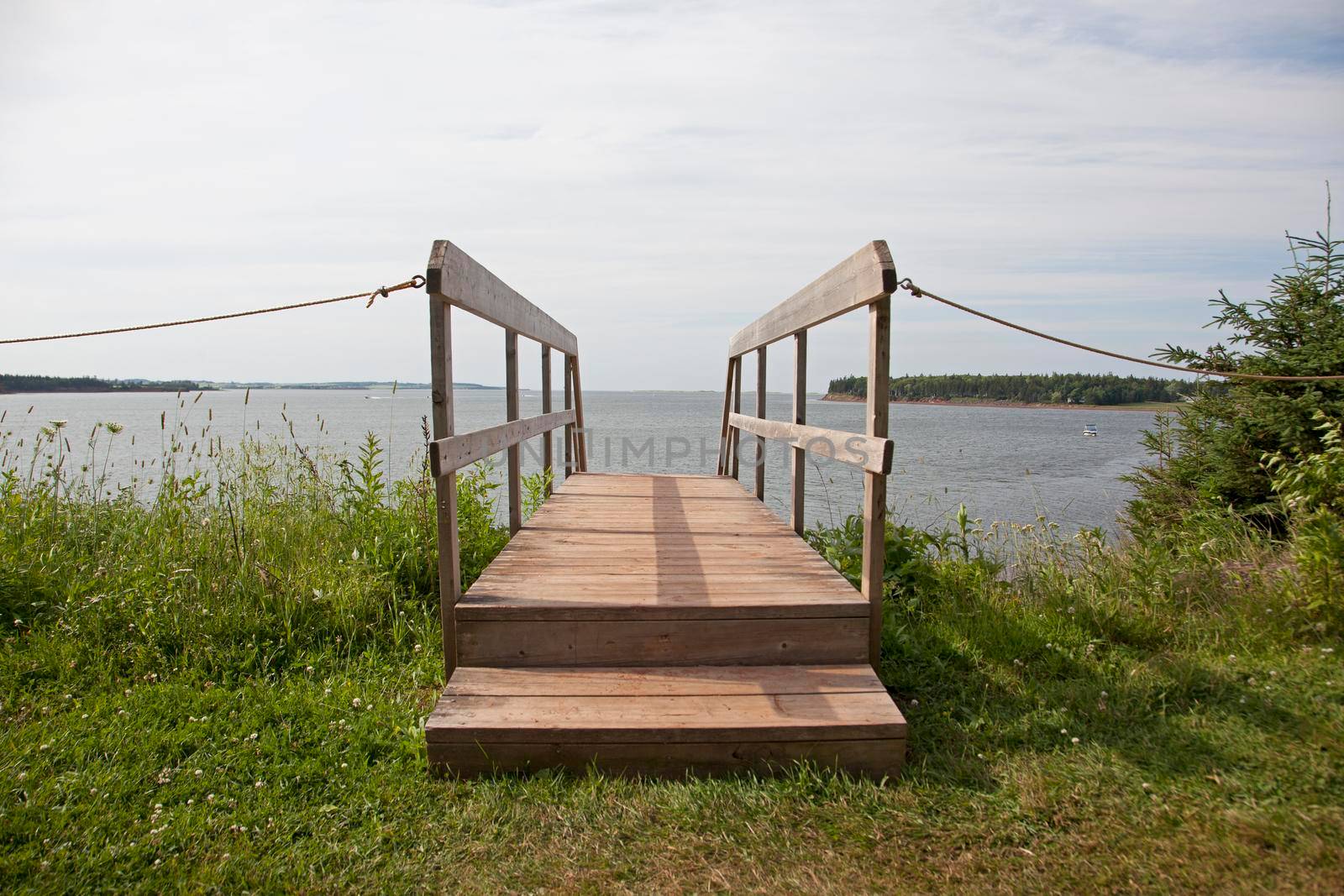 A set of wooden stairs by the beach heading down to the water by the grass