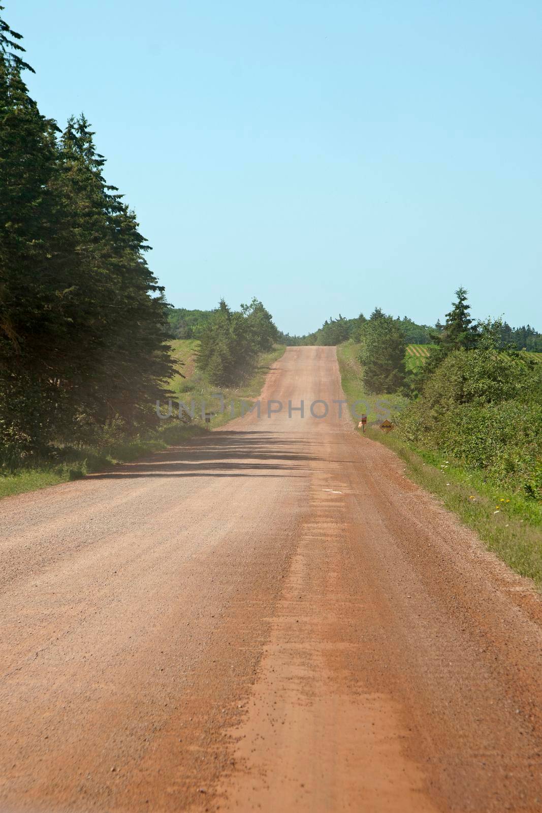 A rural red dirt road with green trees in the summer is empty of travelers