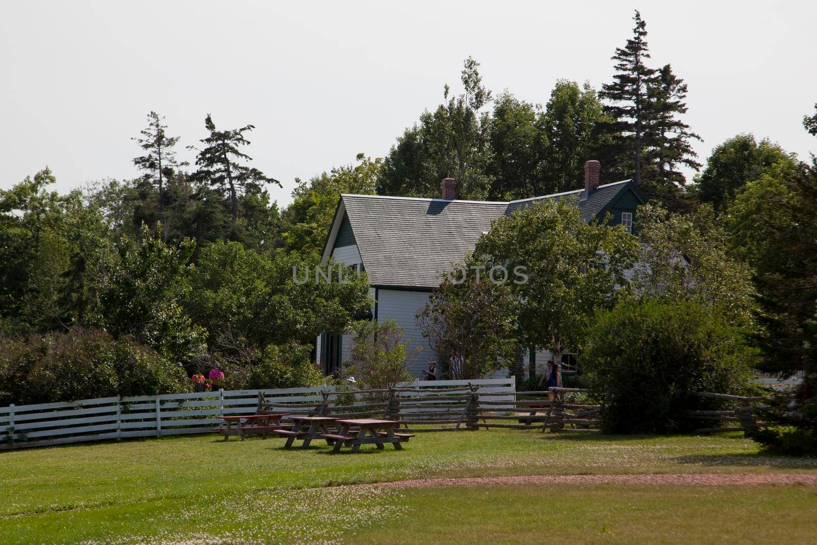 Tourists and picnic tables at Green Gables Place  by rustycanuck
