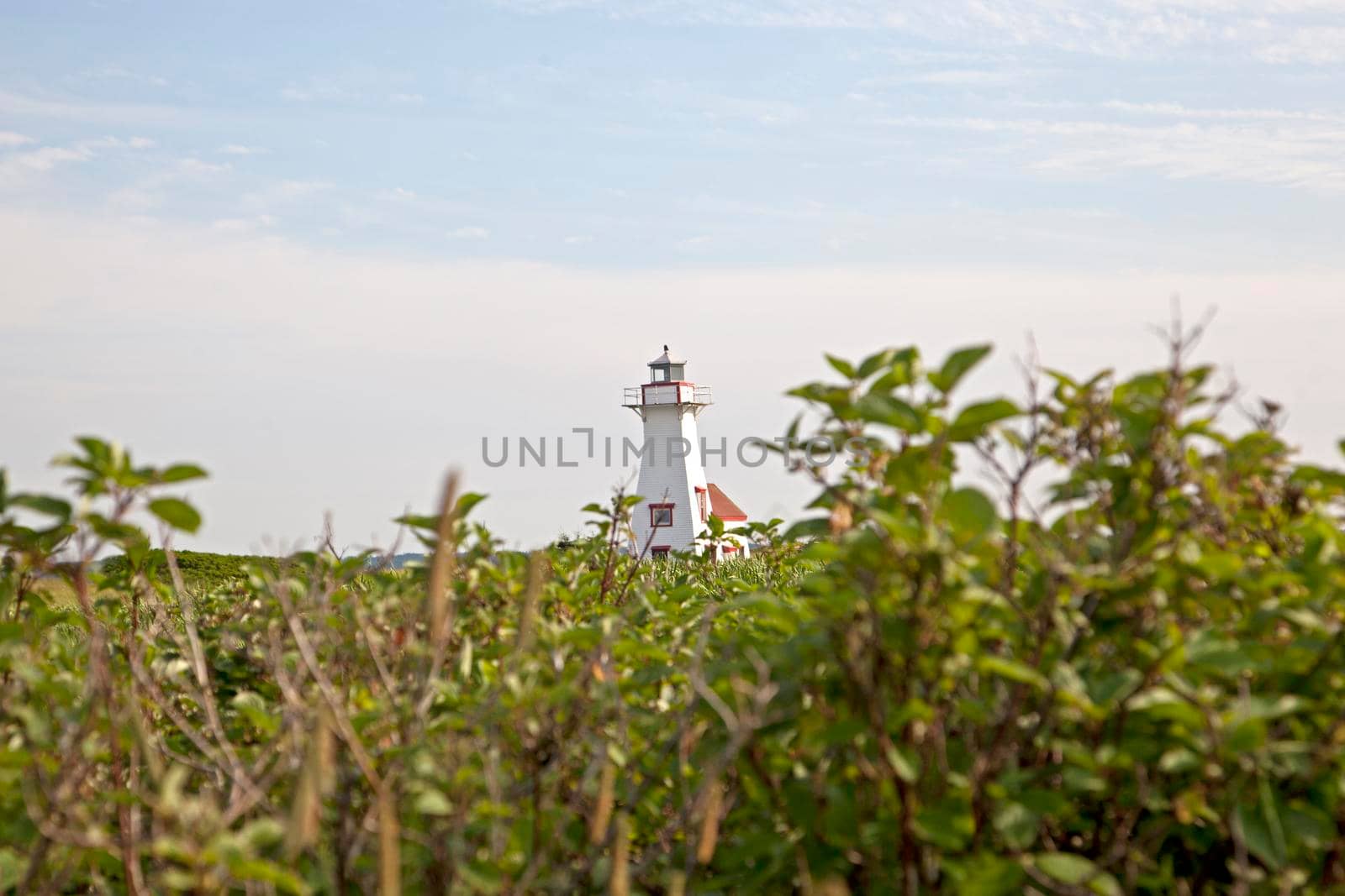 July 27, 2019 - French River, PEI: Looking across the summer grass to the lighthouse in French River, Prince Edward Island