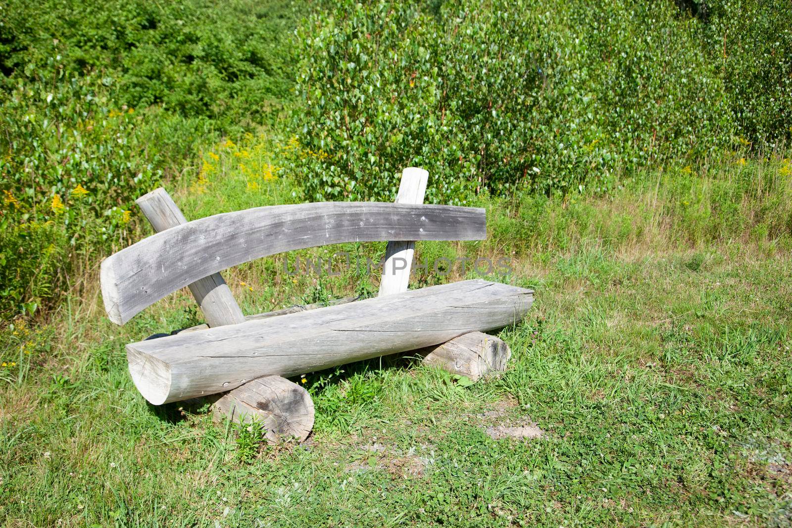 beautiful wooden bench by rustycanuck