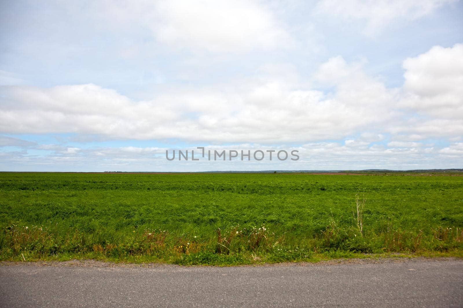 Off the side of a paved road, a wide open pasture or field stretches into the distance 
