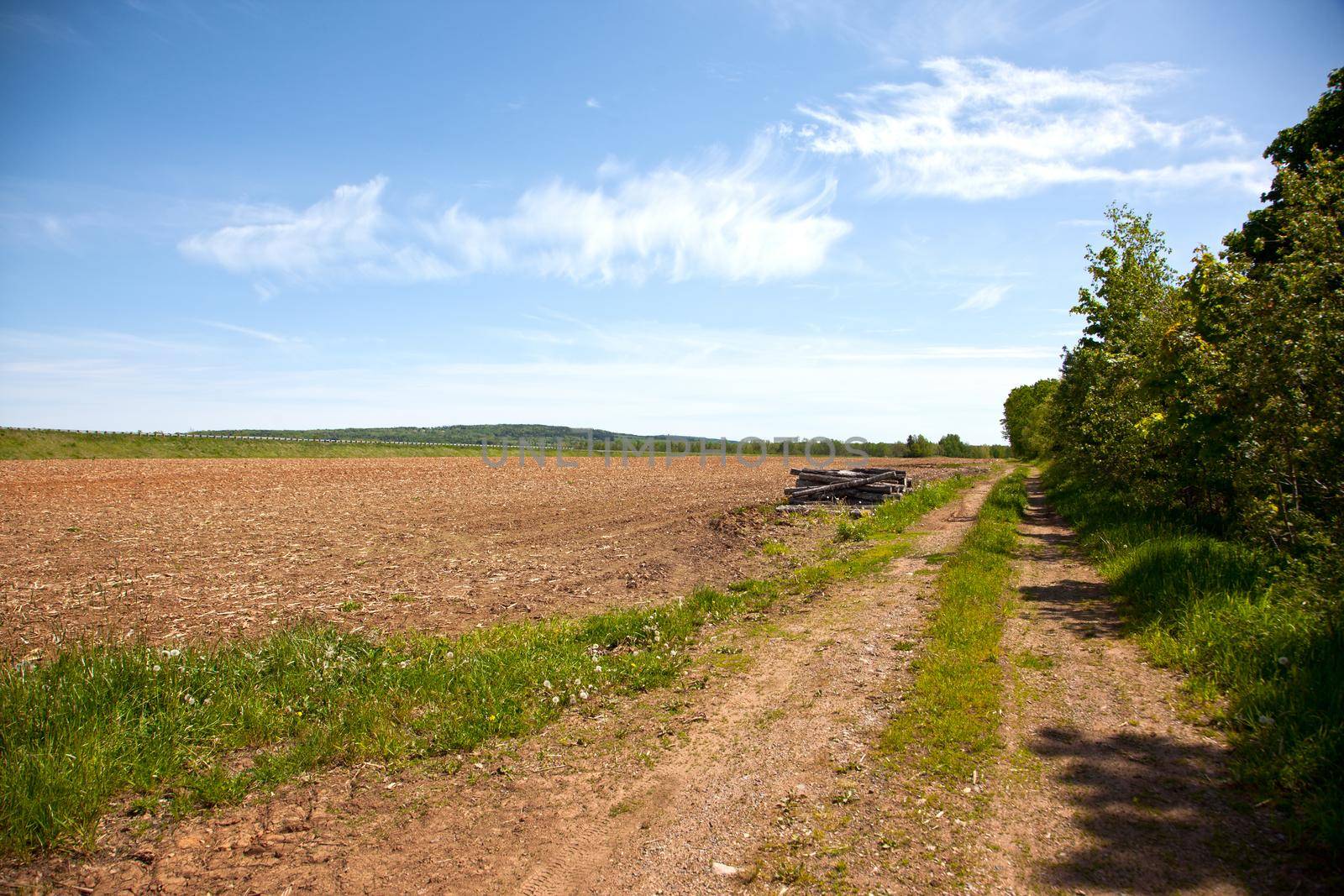 Dirt road in field  by rustycanuck